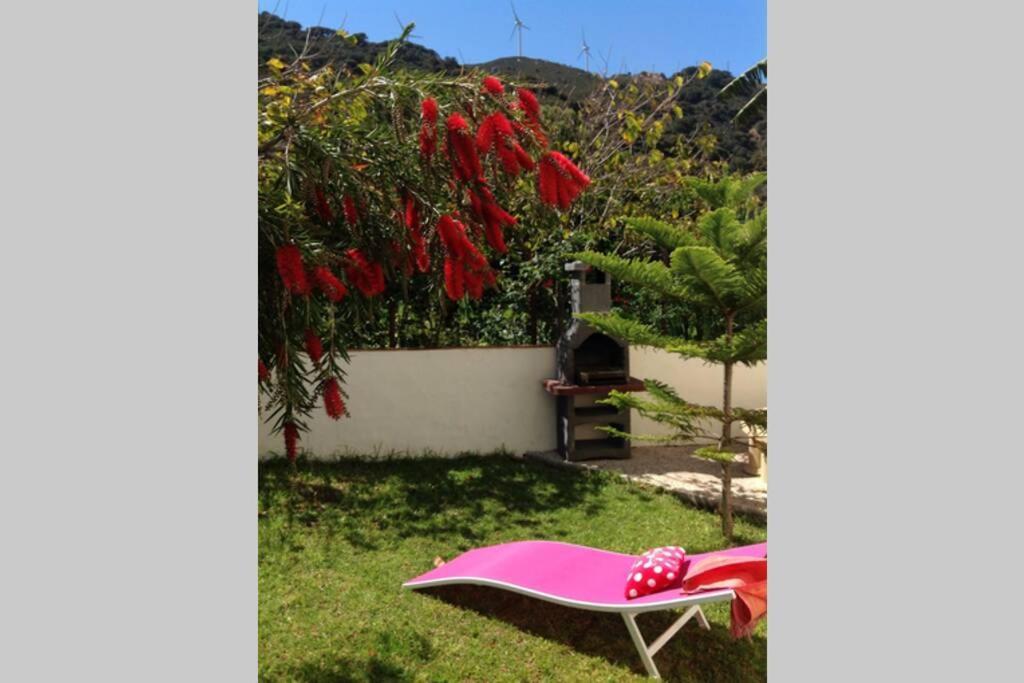 Apartment La Pena Rojo Wifi Tarifa Eksteriør bilde